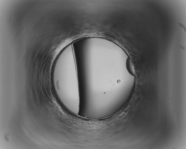 X0000102510008200808081017