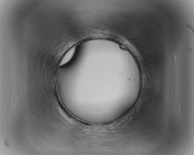 X0000102510009200808081017