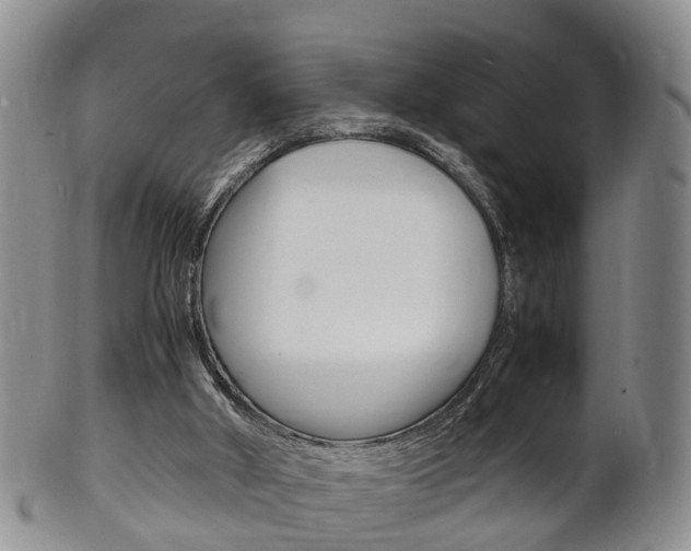 X0000102510010200808081017