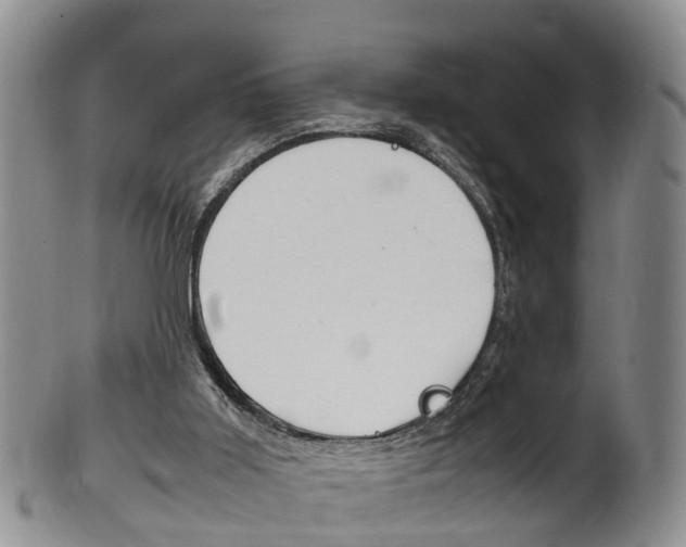 X0000102510011200808081017