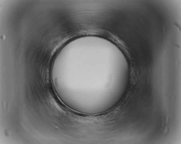 X0000102510012200808081017