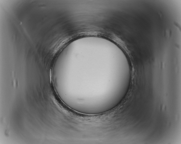 X0000102510013200808081017