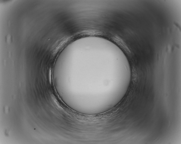 X0000102510014200808081017