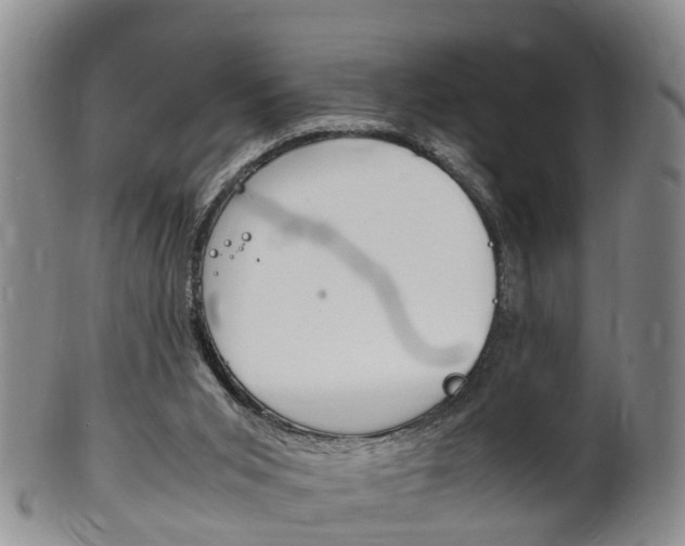 X0000102510015200808081017