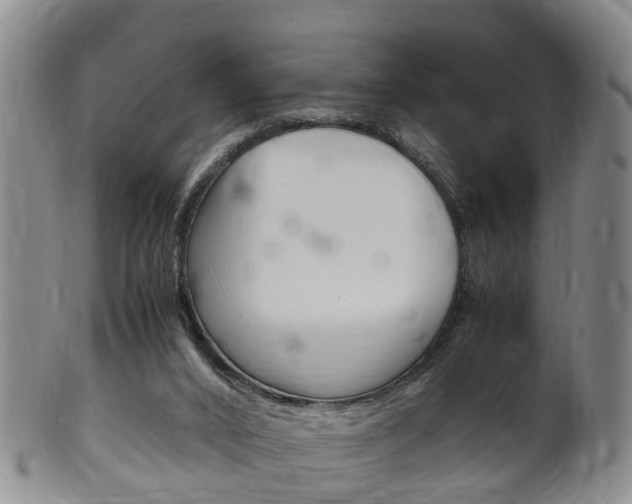 X0000102510016200808081017