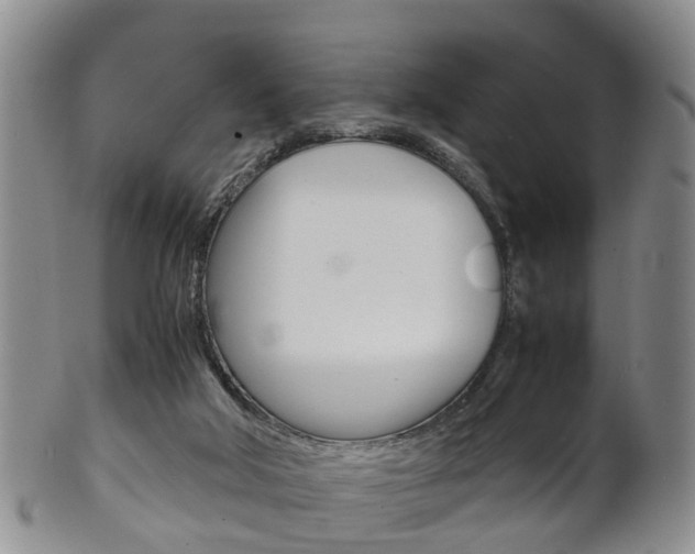X0000102510018200808081017