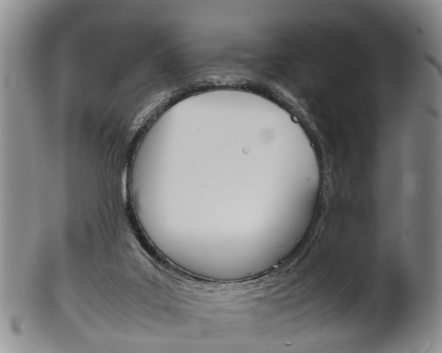 X0000102510019200808081017