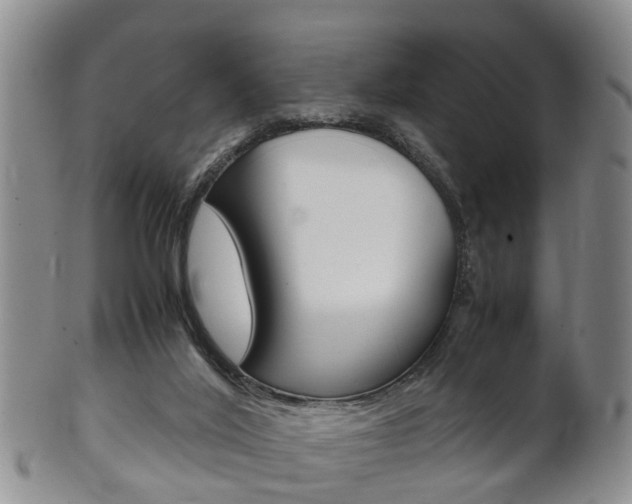 X0000102510020200808081017