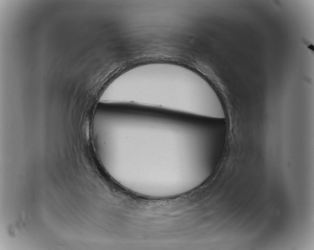 X0000102510021200808081017