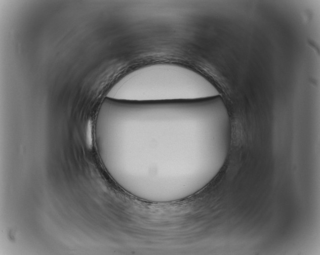 X0000102510022200808081017