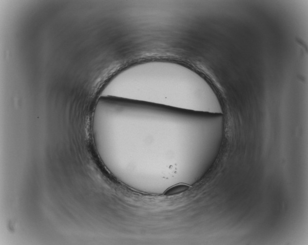 X0000102510023200808081017