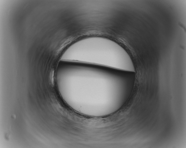 X0000102510024200808081017