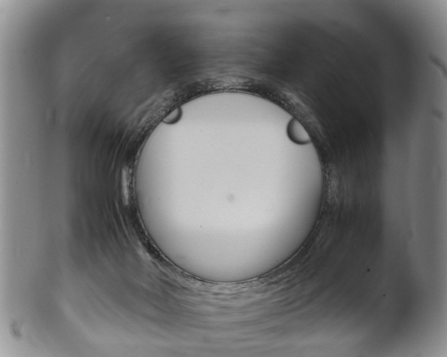 X0000102510026200808081017