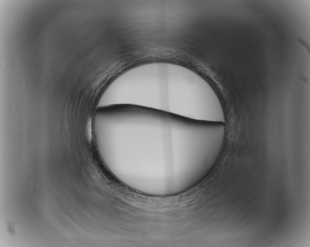 X0000102510027200808081017