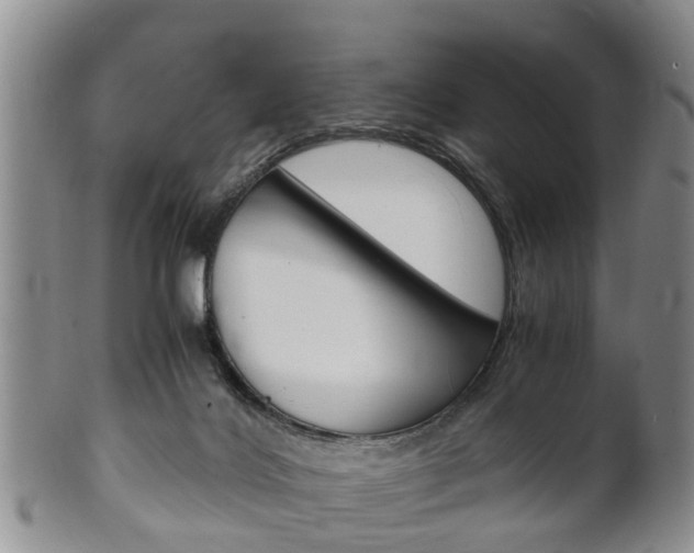 X0000102510028200808081017