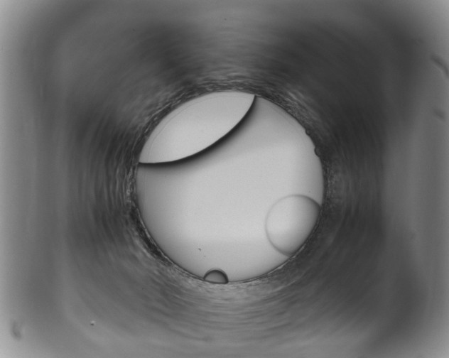 X0000102510030200808081017