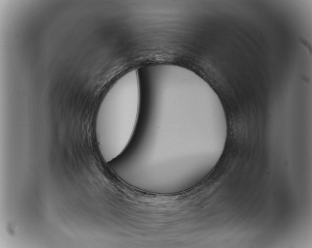 X0000102510032200808081016