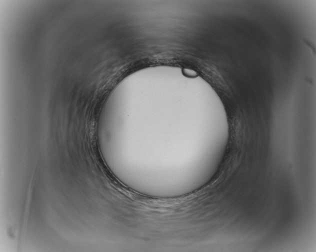 X0000102510033200808081016