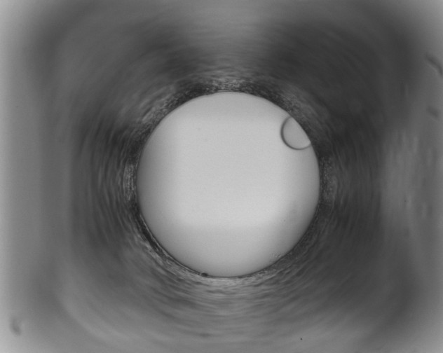 X0000102510034200808081016