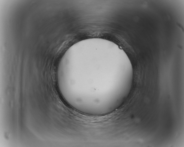 X0000102510035200808081016
