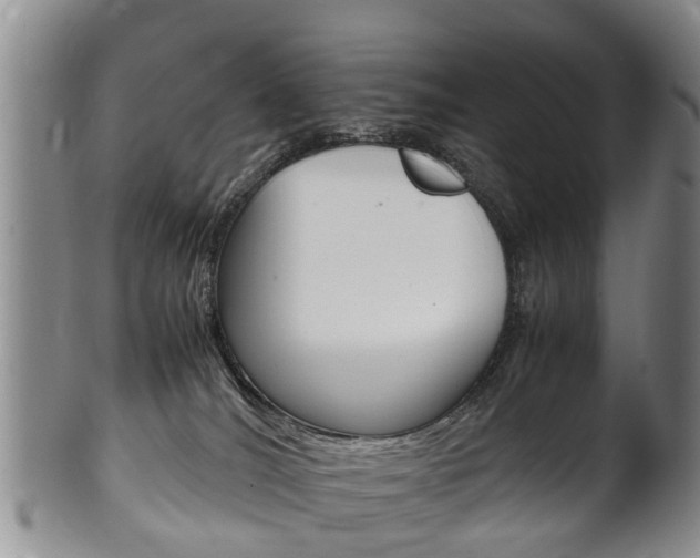 X0000102510036200808081016