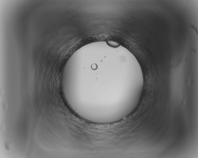X0000102510037200808081016