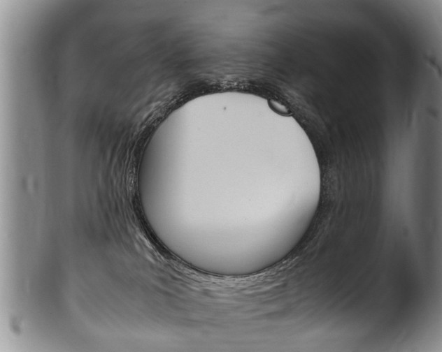 X0000102510039200808081016