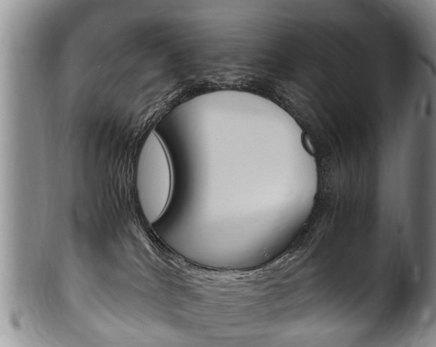 X0000102510040200808081016
