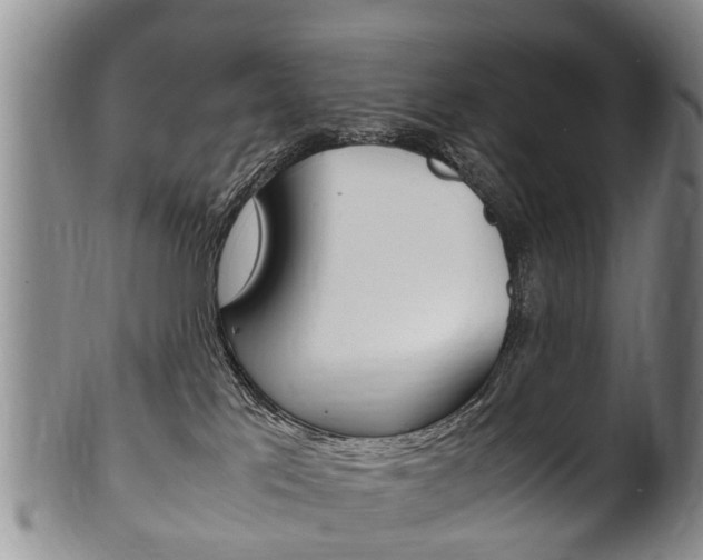 X0000102510041200808081016