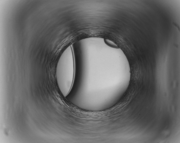 X0000102510044200808081016