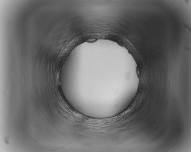 X0000102510045200808081016