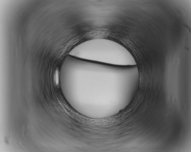 X0000102510046200808081016