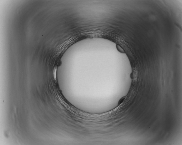X0000102510047200808081016