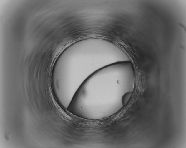 X0000102510049200808081016