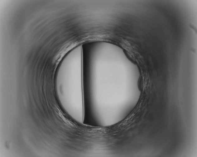 X0000102510050200808081016