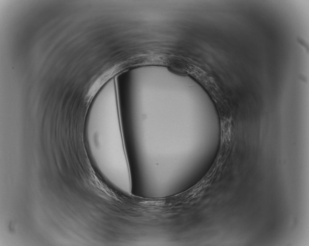 X0000102510051200808081016