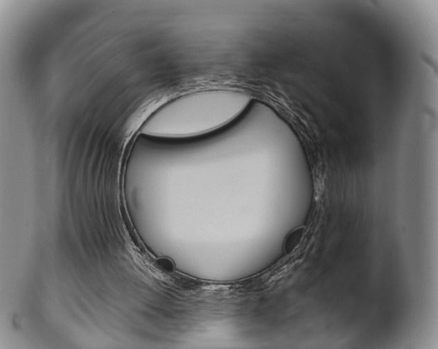 X0000102510052200808081016