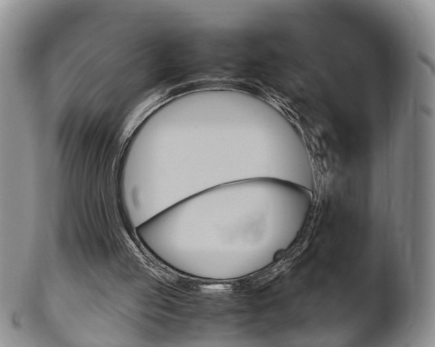 X0000102510053200808081016