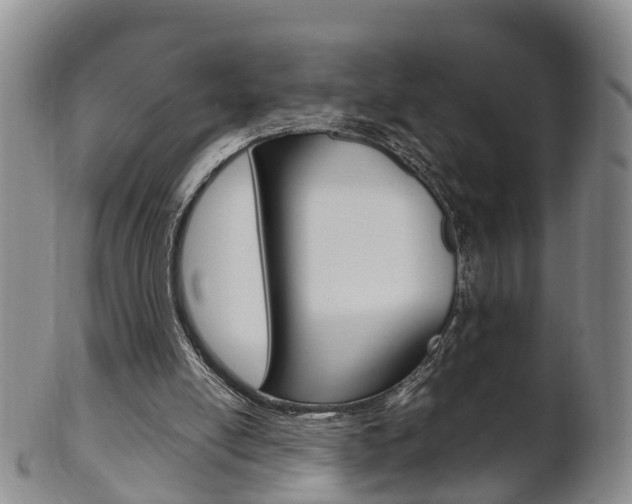 X0000102510054200808081016