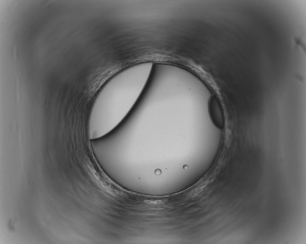 X0000102510057200808081016