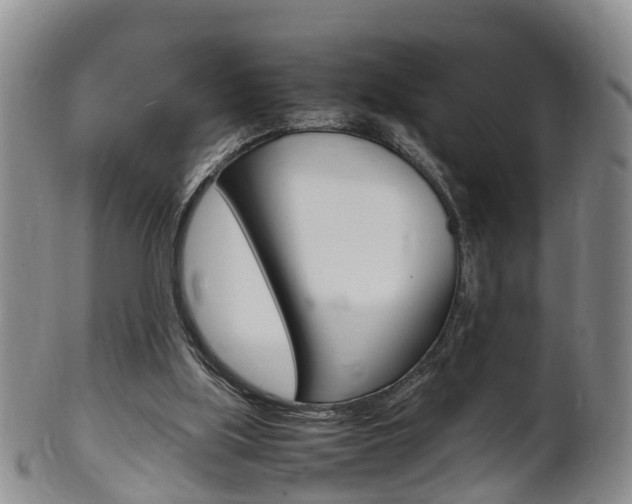 X0000102510059200808081016