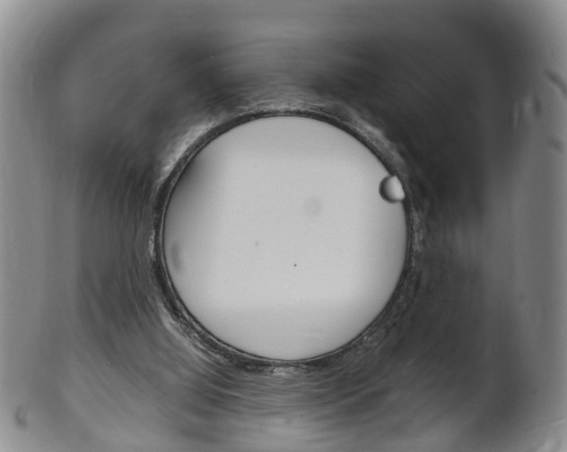 X0000102510060200808081016