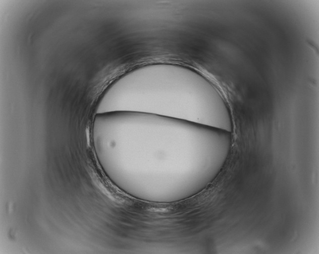 X0000102510061200808081016