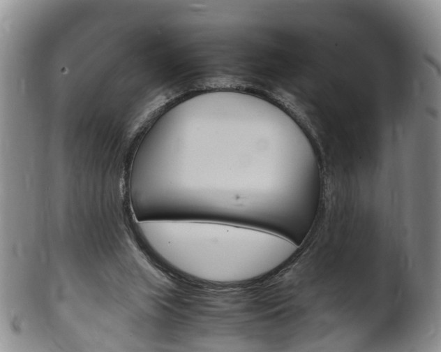 X0000102510063200808081016