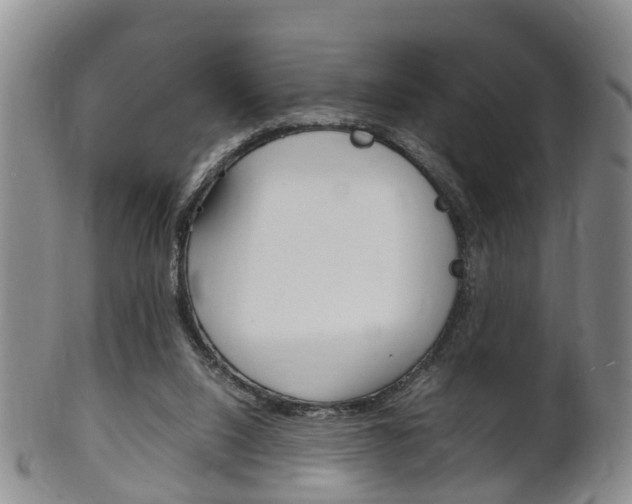 X0000102510064200808081016