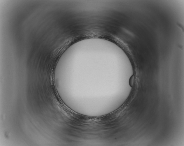 X0000102510065200808081016