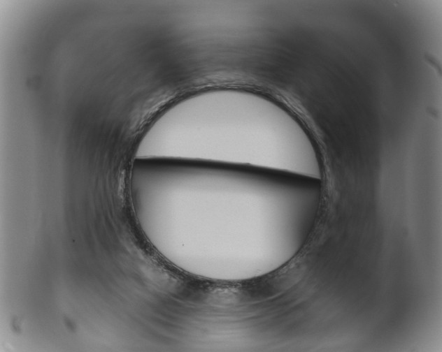 X0000102510066200808081016