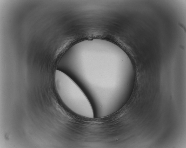 X0000102510067200808081016