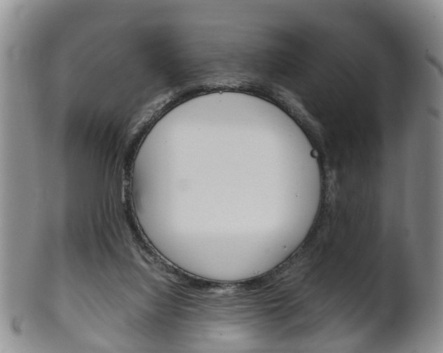 X0000102510068200808081016