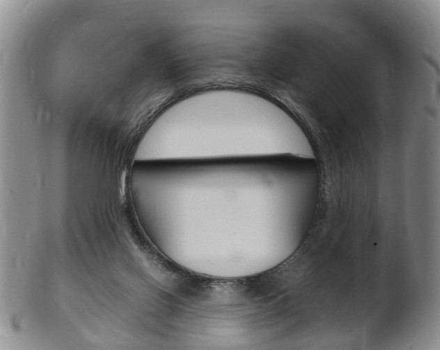 X0000102510070200808081016